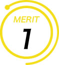 MERIT1