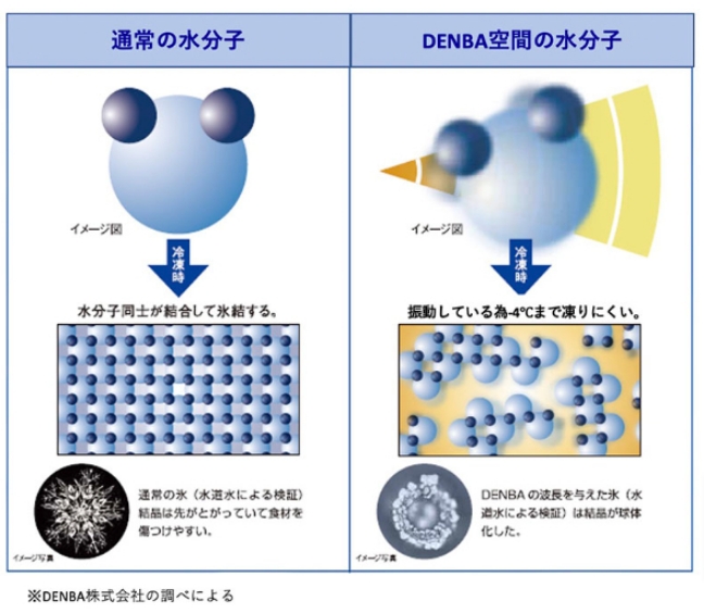 水分子